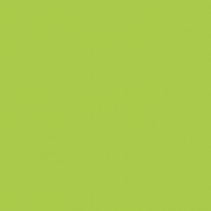 Lime Green Laminate Sheet 3050 x 1310mm