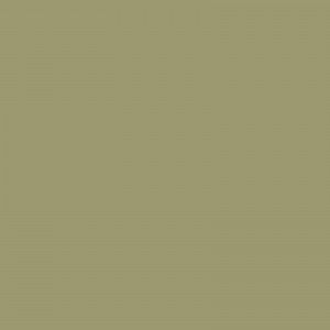 Olive Green Matt Laminate Sample