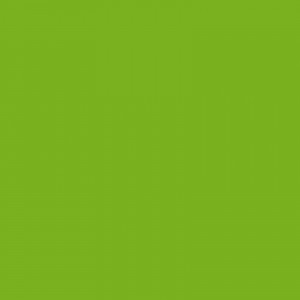 Vibrant Green Laminate Sheet 3050 x 1300 mm